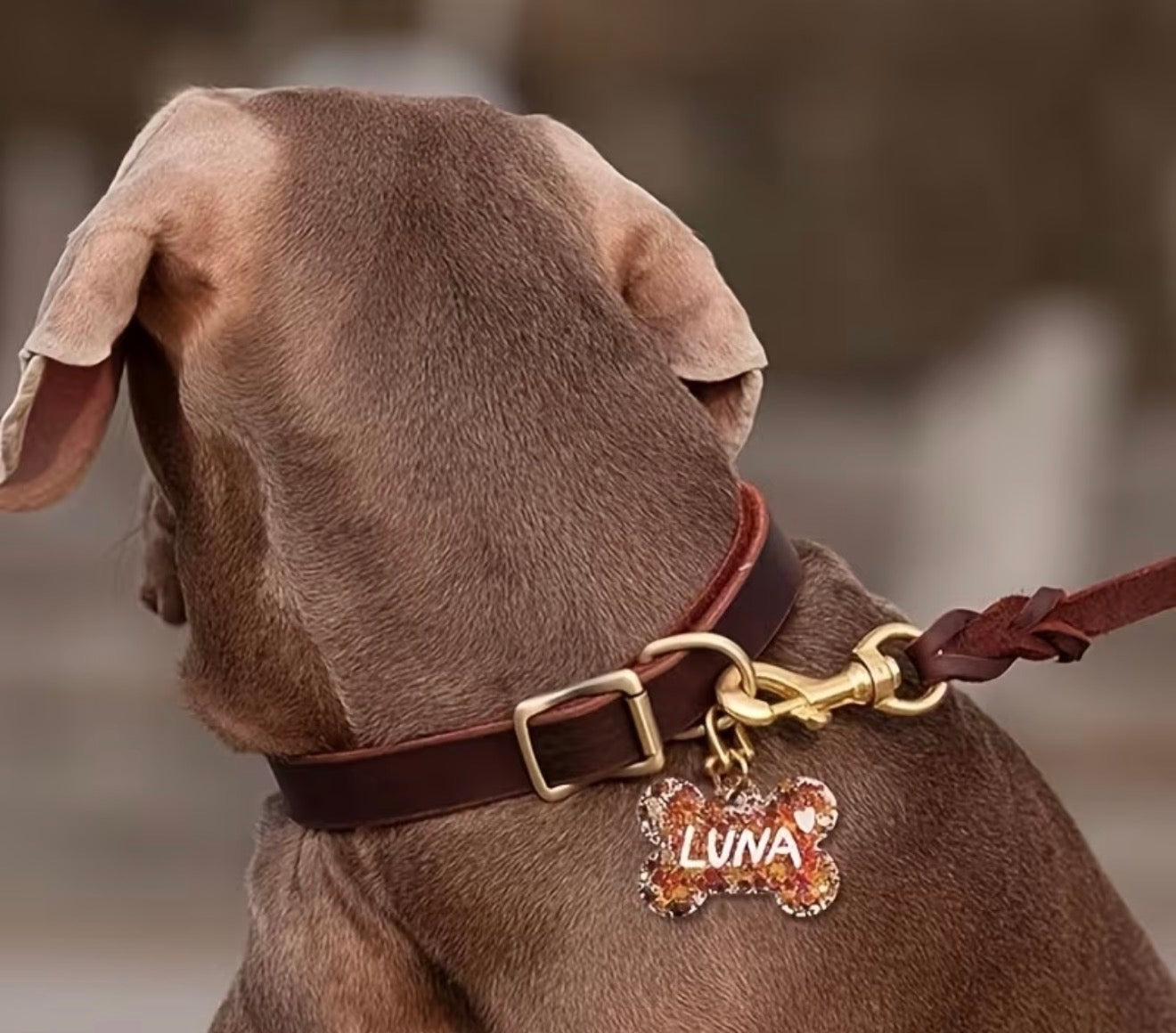 Personalized Dog Tag